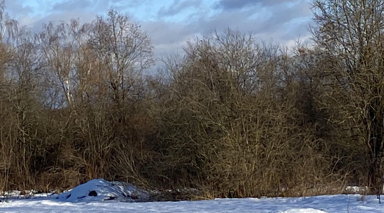 земля городской округ Клин д Трехденево фото 2