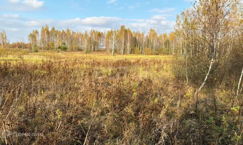 земля городской округ Ступино с. Ивановское фото 6