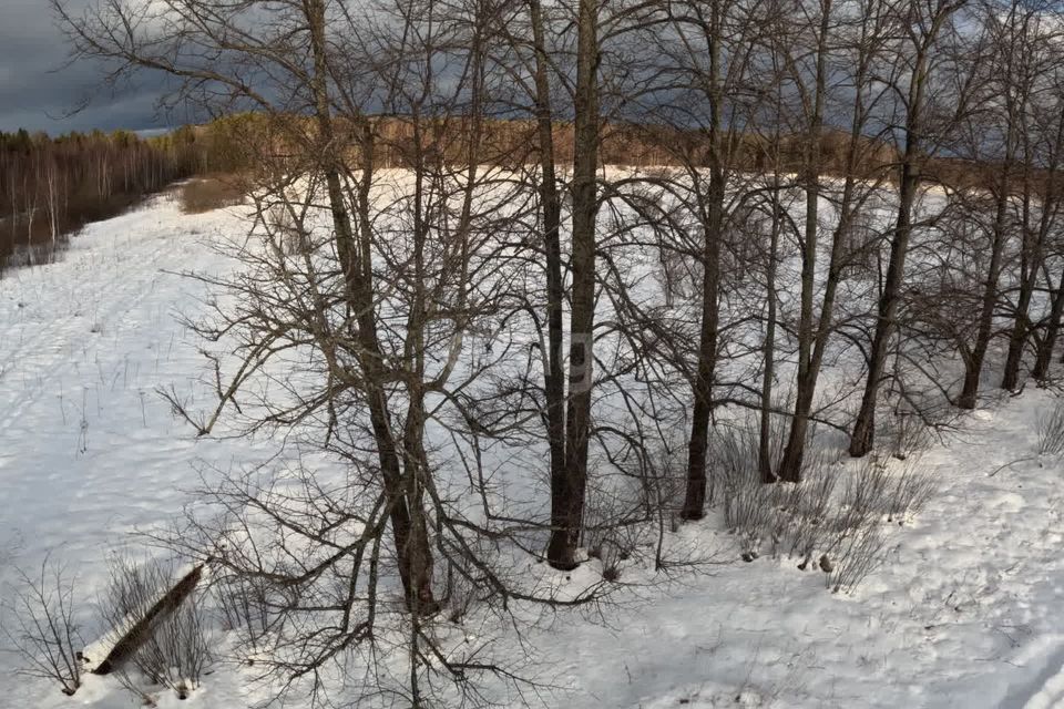 земля городской округ Клин д. Микляево фото 5