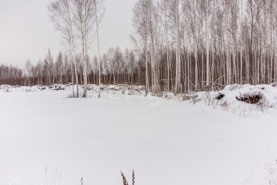 земля г Егорьевск ТСН Строитель, Егорьевск городской округ фото 7