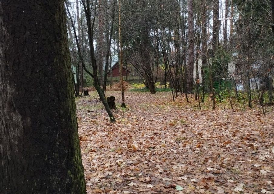 земля городской округ Раменский дп. Кратово, улица Карпинского фото 7