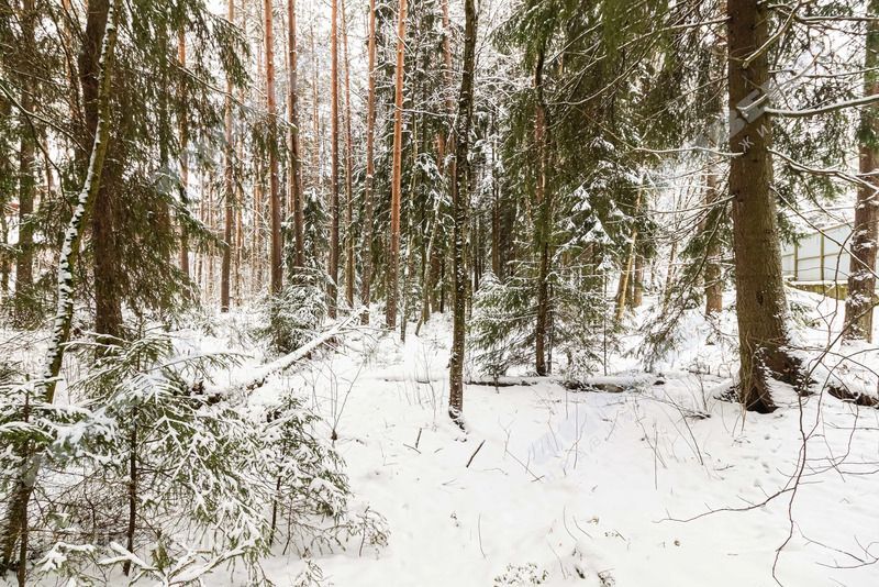 земля р-н Всеволожский городской пос. Токсово фото 9