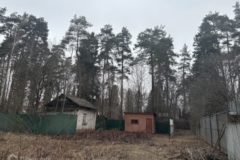 земля городской округ Раменский дп. Удельная фото 10