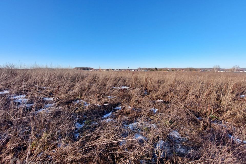 земля г Домодедово Домодедово городской округ, Светлый фото 7