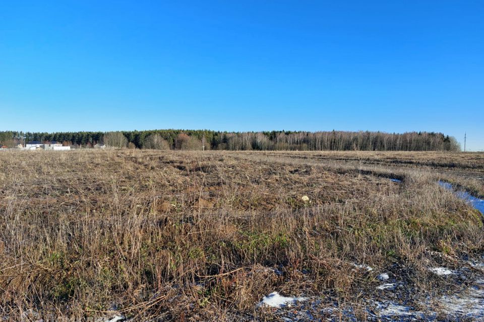 земля г Домодедово Домодедово городской округ, Светлый фото 10