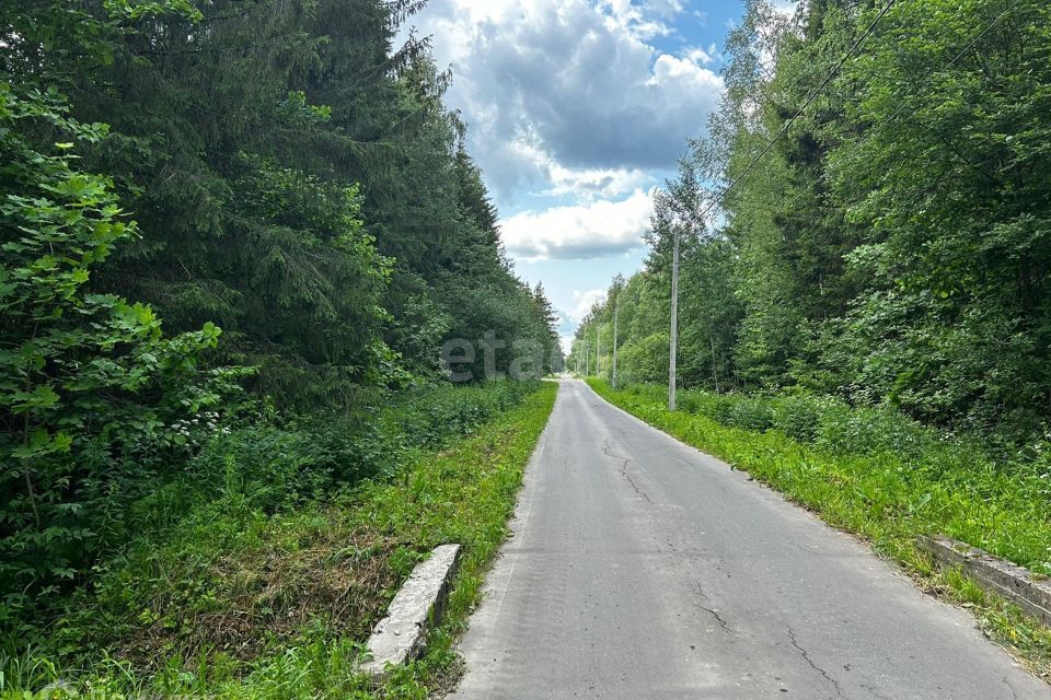 земля городской округ Клин ДСК Лесной фото 10