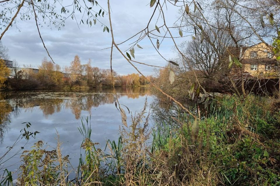 земля городской округ Мытищи п Вешки 38 фото 8