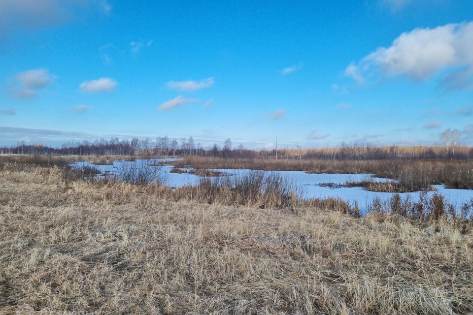 земля городской округ Егорьевск д. Лосино фото 7