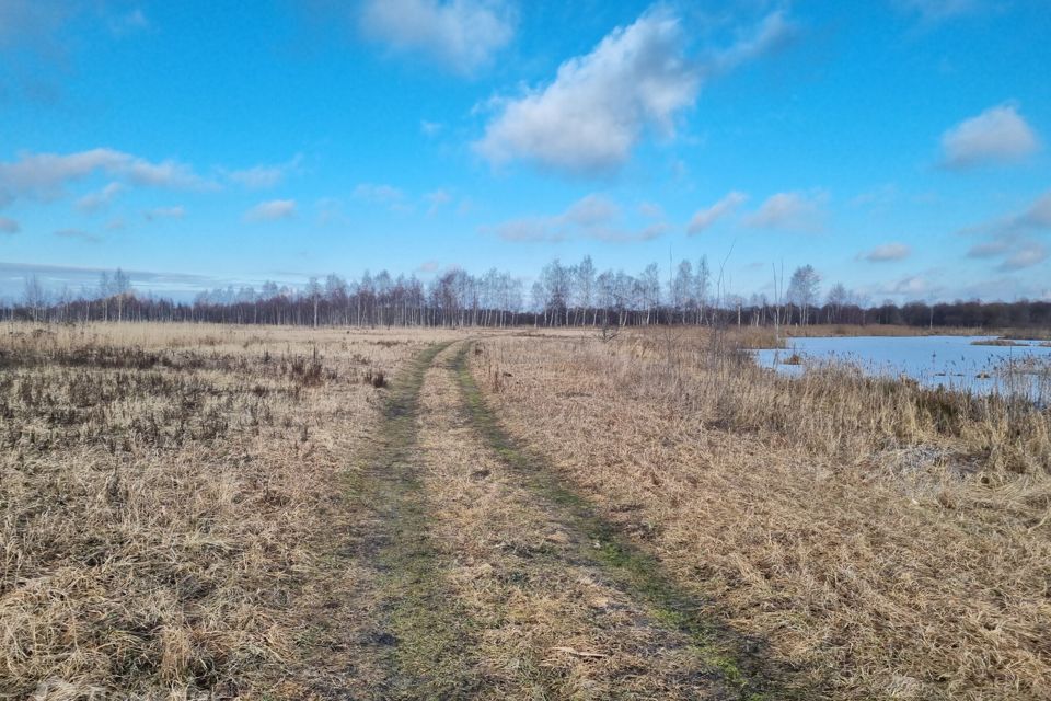 земля городской округ Егорьевск д. Лосино фото 6