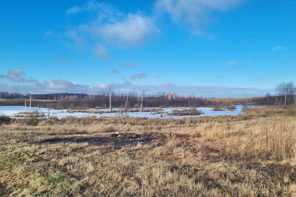 земля городской округ Егорьевск д. Лосино фото 9