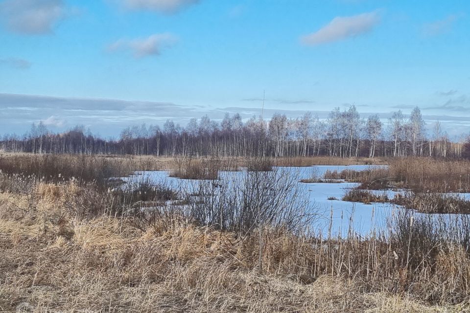 земля городской округ Егорьевск д. Лосино фото 10