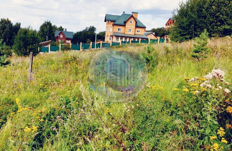 земля городской округ Раменский д. Каменное Тяжино фото 2