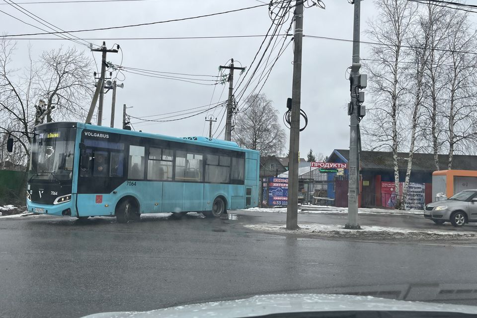 земля г Санкт-Петербург Ломоносовский муниципальный район, ДНТ Владимировка фото 6