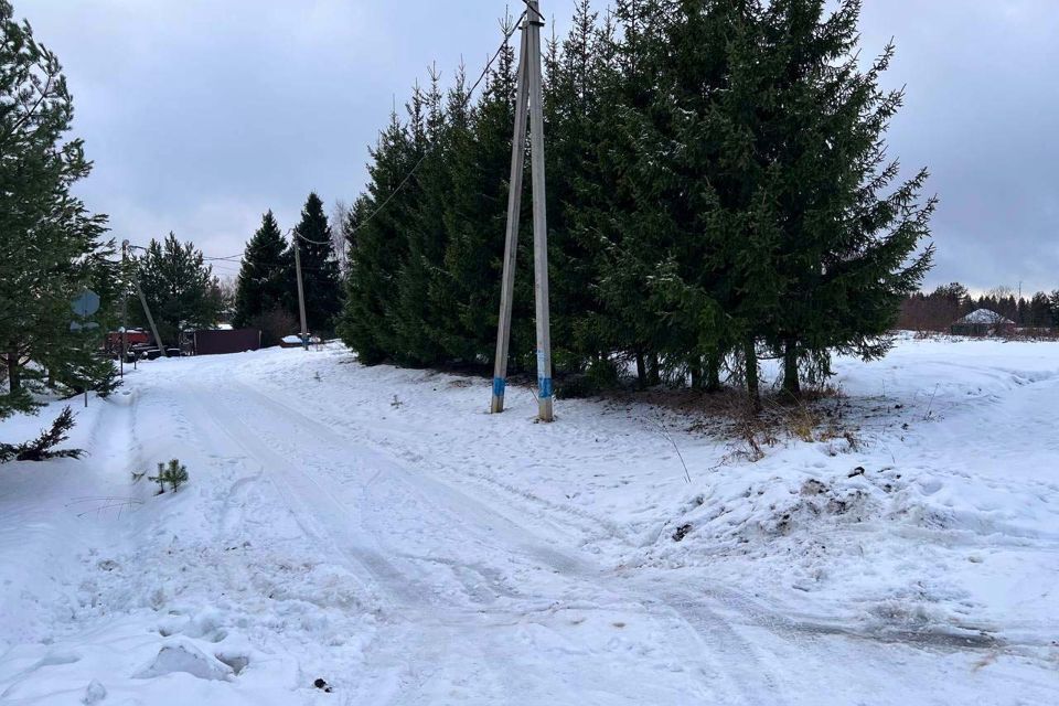 земля городской округ Дмитровский д. Сбоево фото 8