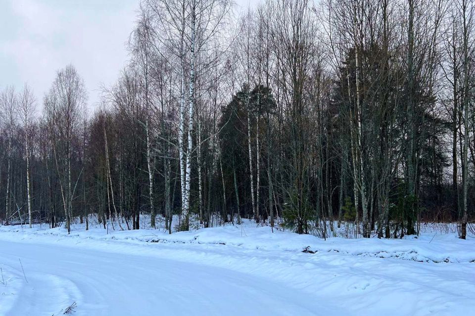 земля г Дмитров ул Профессиональная 117 Дмитровский городской округ фото 10