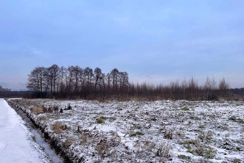 земля городской округ Раменский с Софьино 363 фото 6