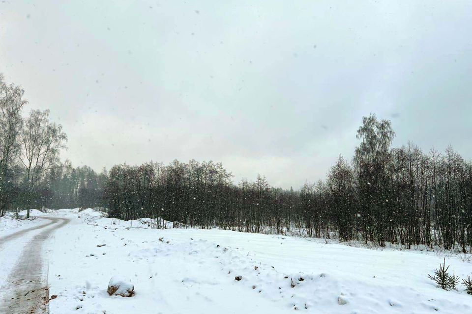 земля городской округ Дмитровский фото 7