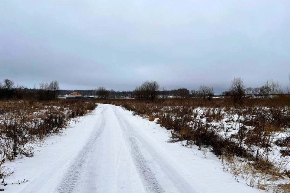 земля городской округ Раменский Пахра Ривер Парк фото 8