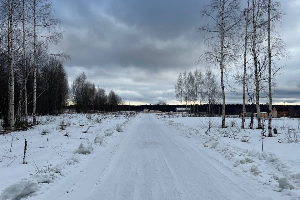 земля городской округ Сергиево-Посадский фото 10