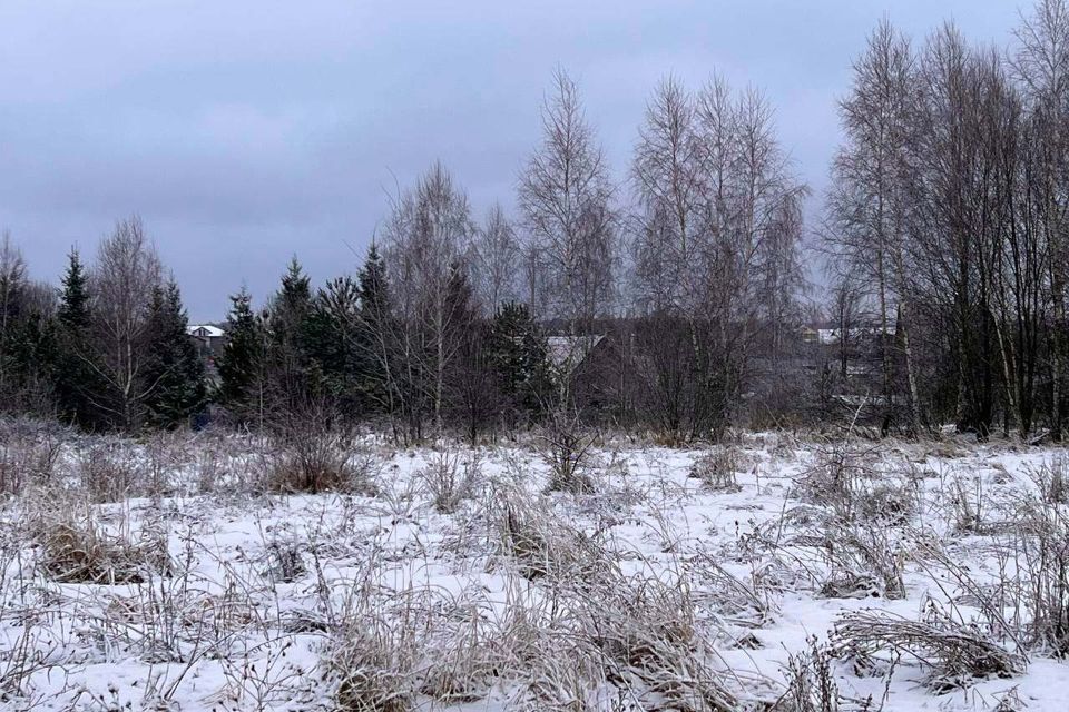 земля городской округ Чехов д. Филипповское фото 10