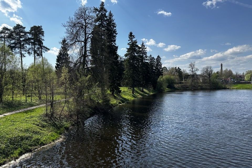 земля городской округ Мытищи пос. совхоза Марфино фото 8