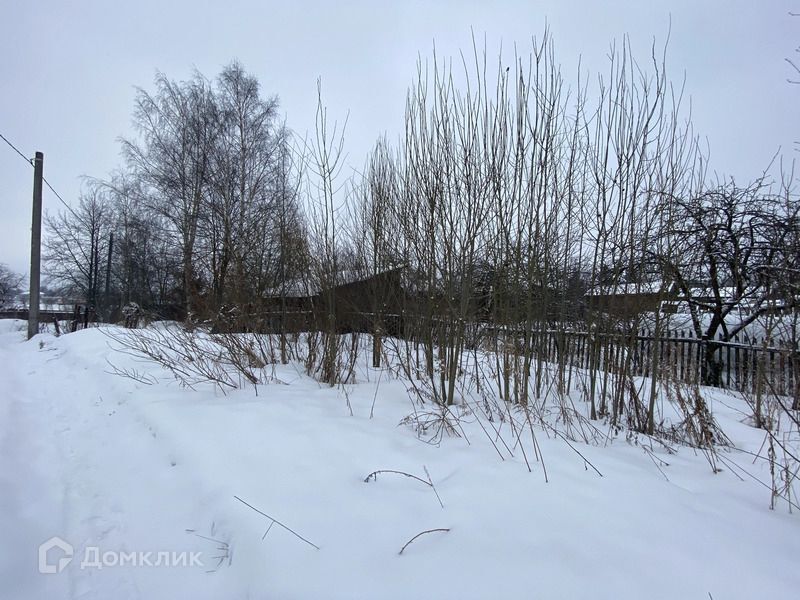 земля г Санкт-Петербург п Усть-Ижора ш Шлиссельбургское 113 Колпинский фото 9