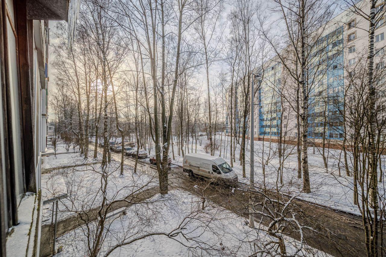 квартира г Санкт-Петербург р-н Пискарёвка ул Руставели 16 Ленинградская область фото 20