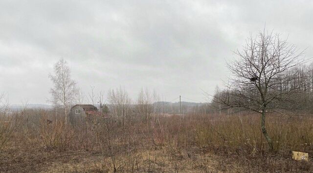 городской округ Серебряные Пруды д Кораблёвка снт тер.Родник-2011 ул. Тенистая, 176 фото