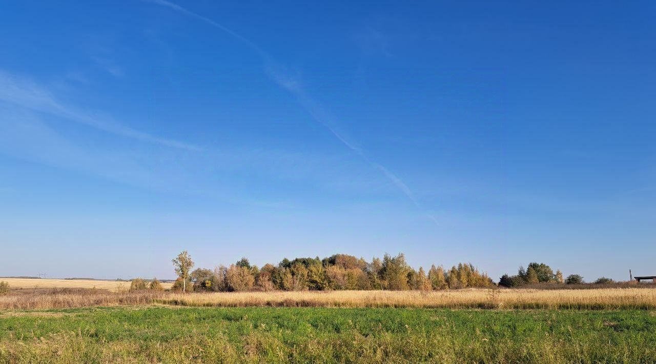 земля городской округ Кашира п Никулино фото 1