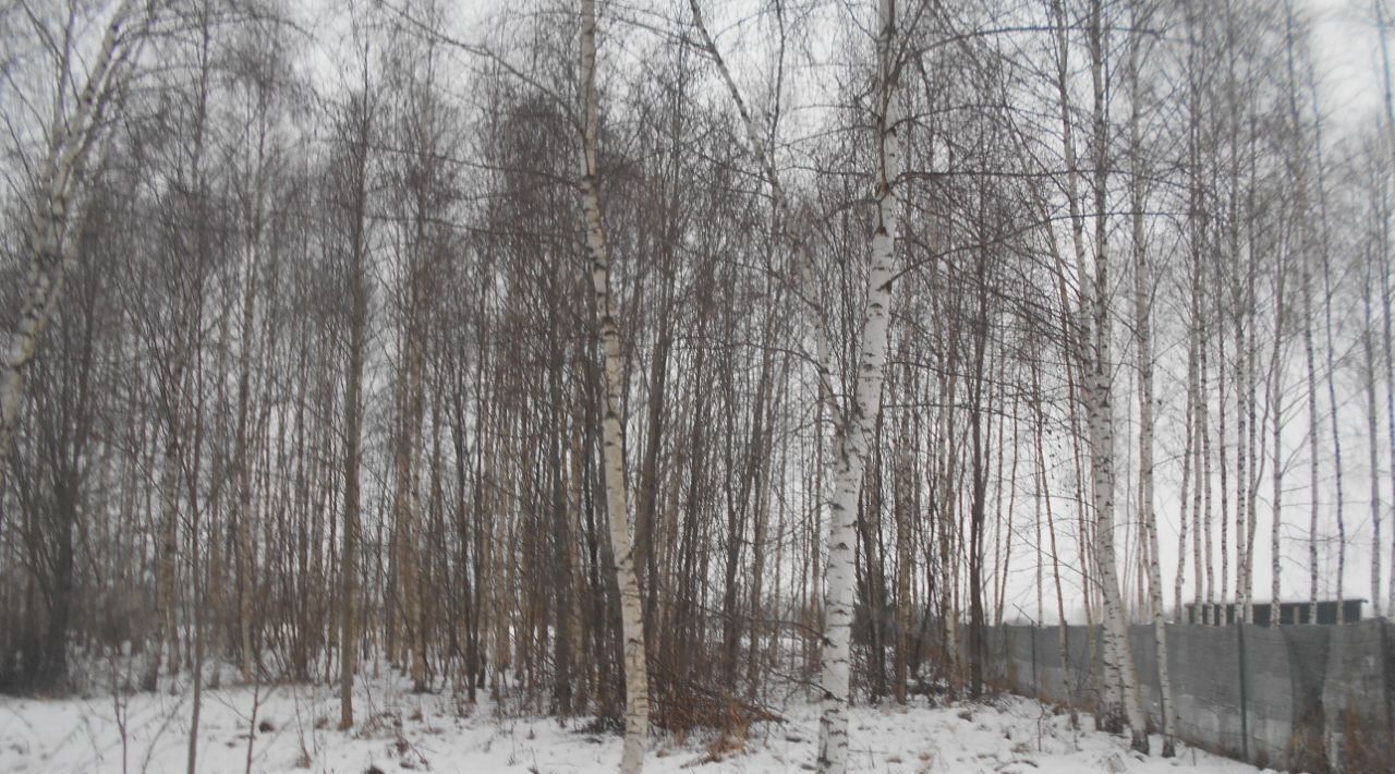 земля городской округ Шаховская с Белая Колпь ул Родниковая фото 1