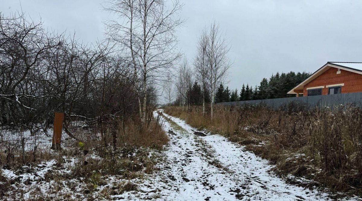 земля городской округ Богородский д Зубцово фото 1