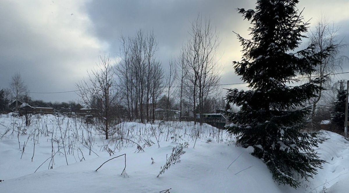 земля городской округ Солнечногорск д Бунтеиха фото 4