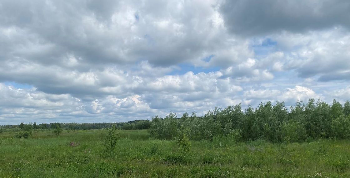 земля городской округ Дмитровский д Усть-Пристань фото 1