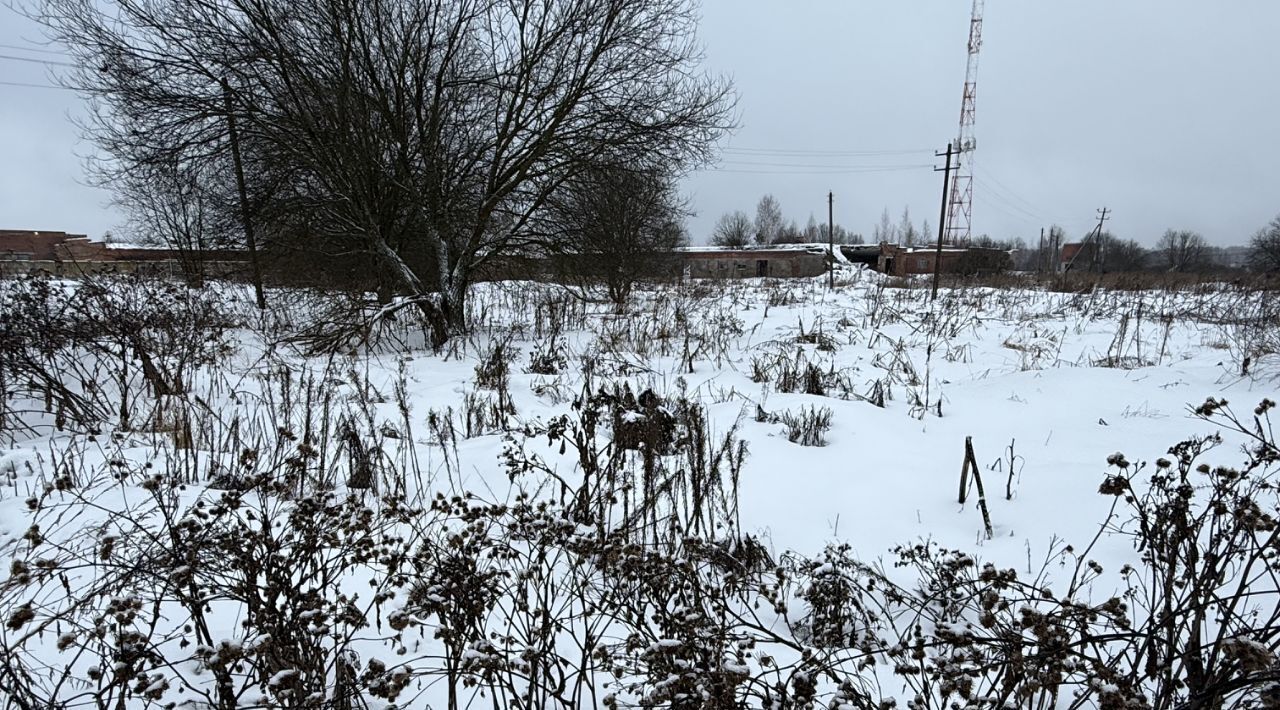 земля городской округ Сергиево-Посадский д Царевское с пос, Пушкинский городской округ фото 8