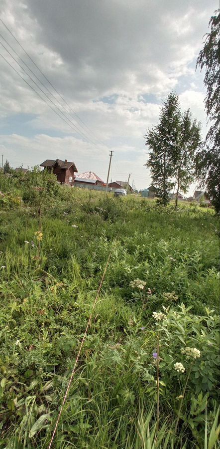 земля р-н Новосибирский снт Рябинка обская ул Центральная Толмачёвский сельсовет, Обь фото 3