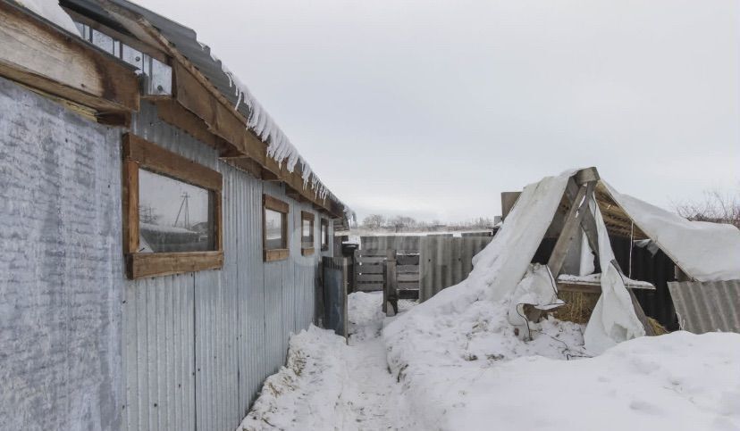 дом р-н Омский п Новоомский Новоомское сельское поселение, ул. Яблоневая аллея, 92 фото 10