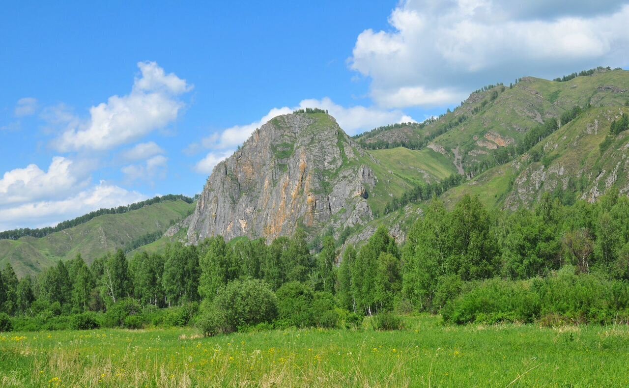 земля р-н Чемальский Ороктойский мост, Онгудай фото 6