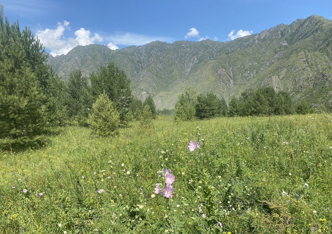 земля р-н Чемальский Ороктойский мост, Онгудай фото 10