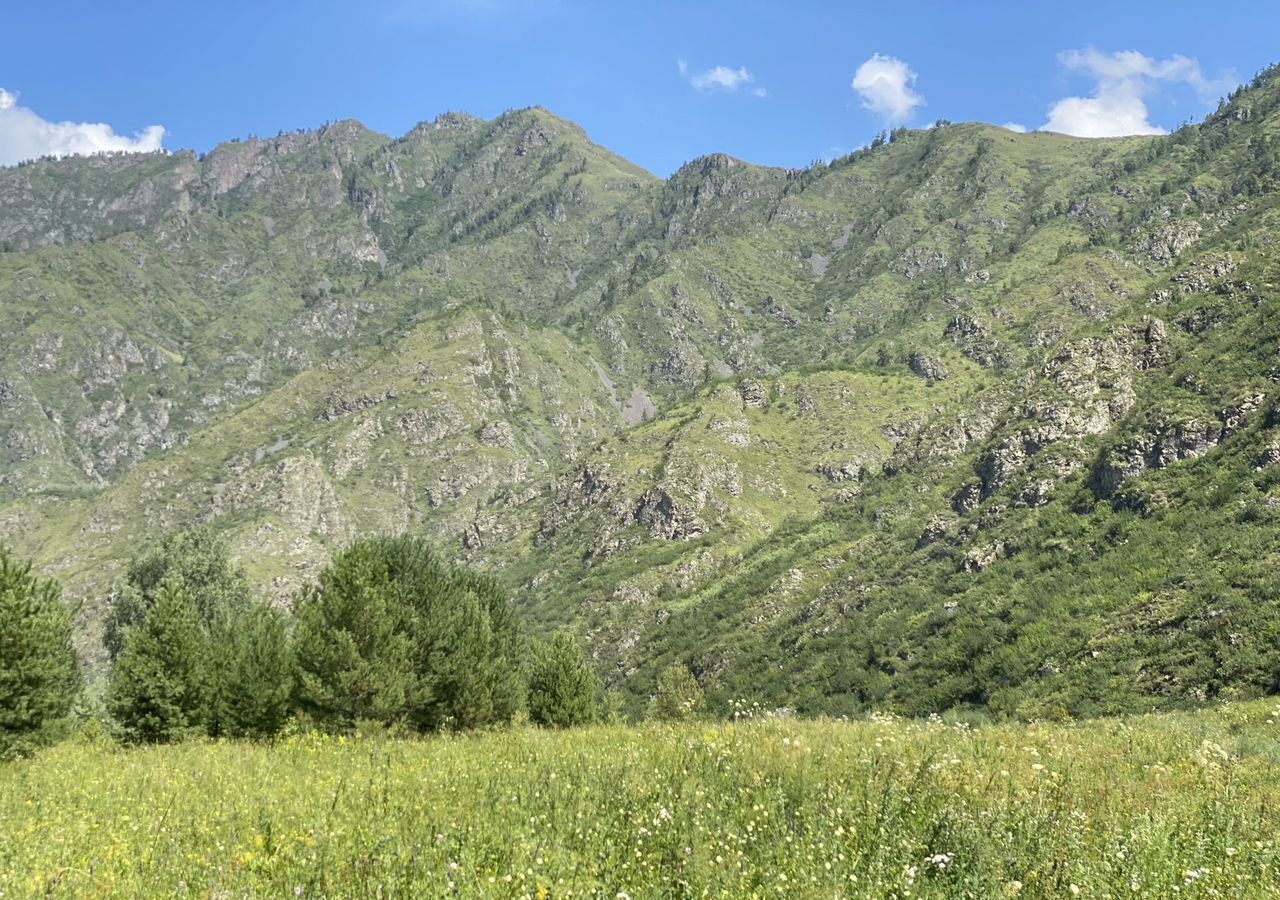 земля р-н Чемальский Ороктойский мост, Онгудай фото 11