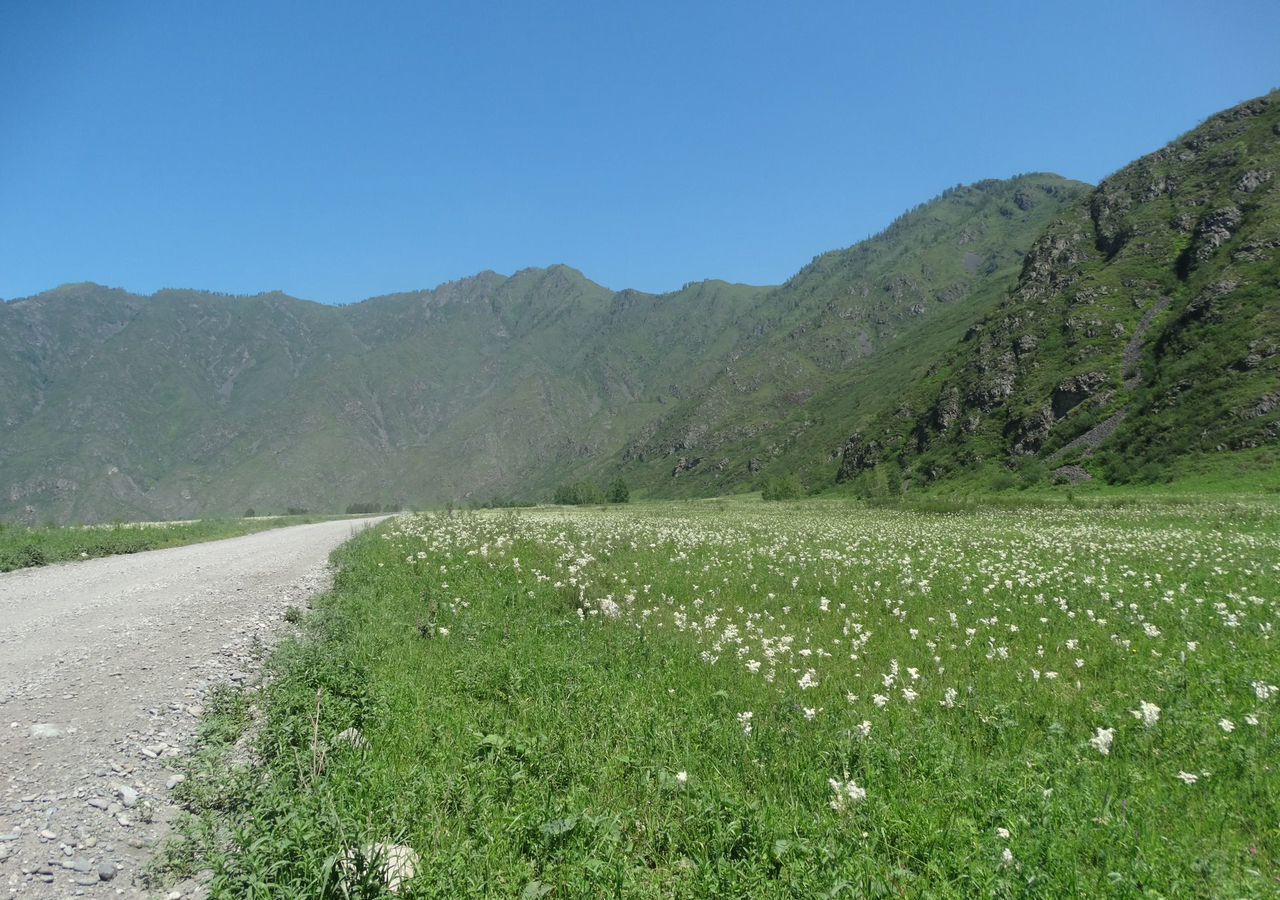 земля р-н Чемальский Ороктойский мост, Онгудай фото 12