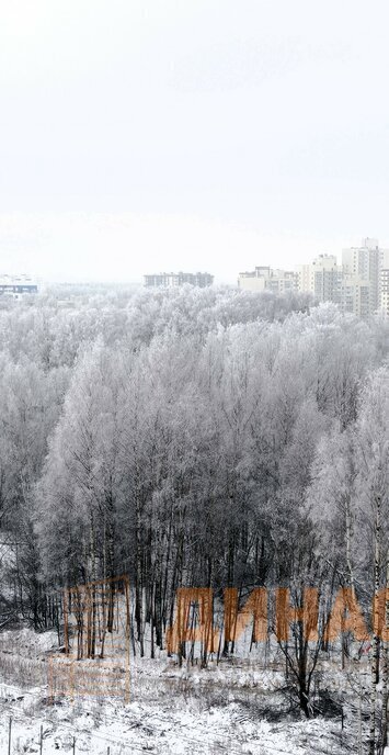 квартира городской посёлок Янино-1, Ладожская, Голландская улица, 10к 2 фото 18