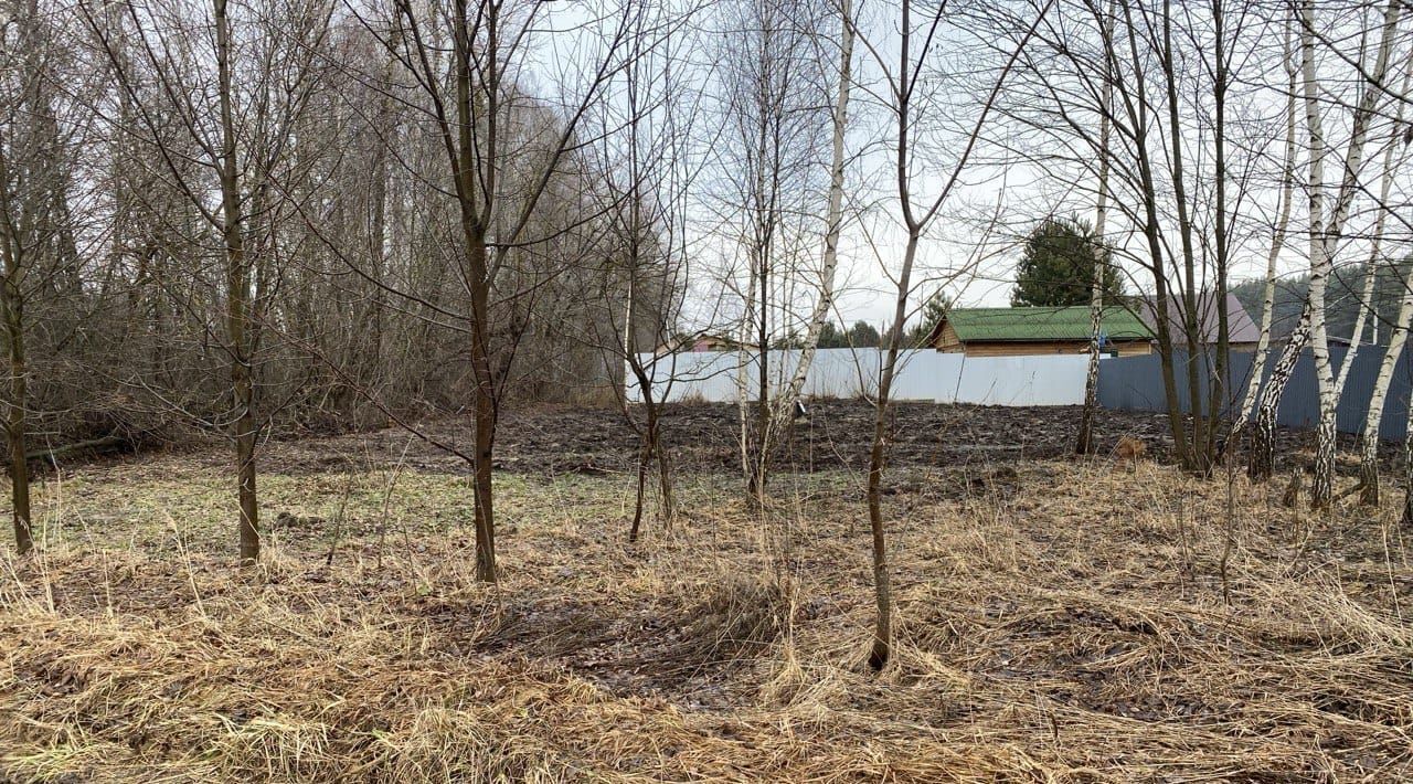 земля городской округ Коломенский д Конев-Бор ул Лесная Коломна городской округ фото 1