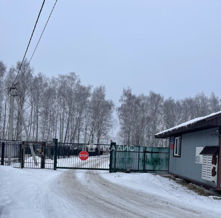 земля р-н Кстовский д Подвалиха ул Алексеевская 11 фото 2