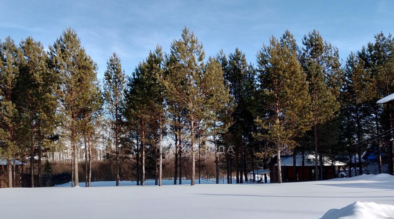 земля р-н Новосибирский Кубовинский сельсовет, Лаки Парк кп, 93 фото 1