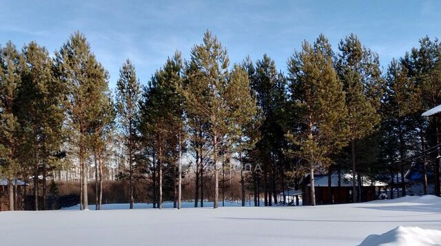 земля Кубовинский сельсовет, Лаки Парк кп, 93 фото