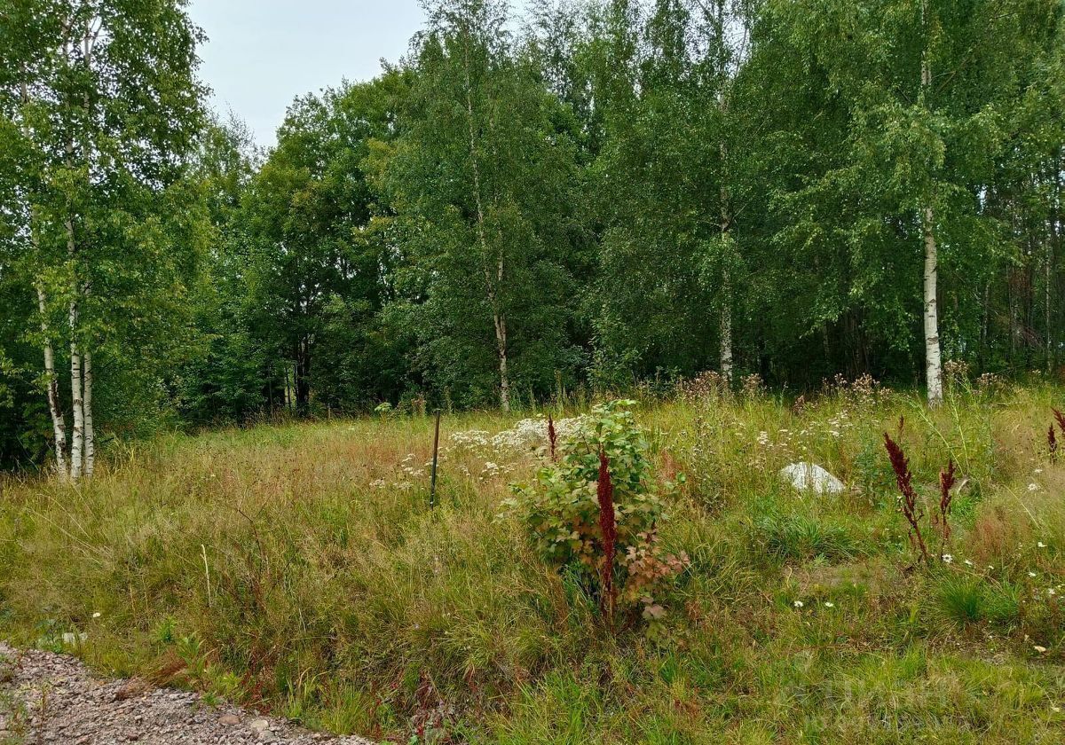 земля городской округ Подольск 19 км, д. Жарково, Варшавское шоссе фото 3