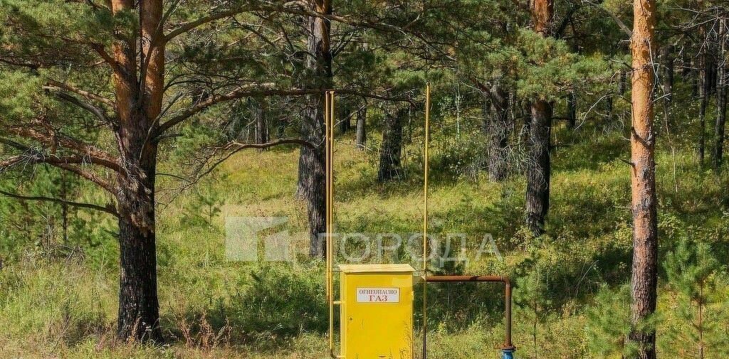 дом р-н Новосибирский Кубовинский сельсовет, Малые поляны ТСН фото 3