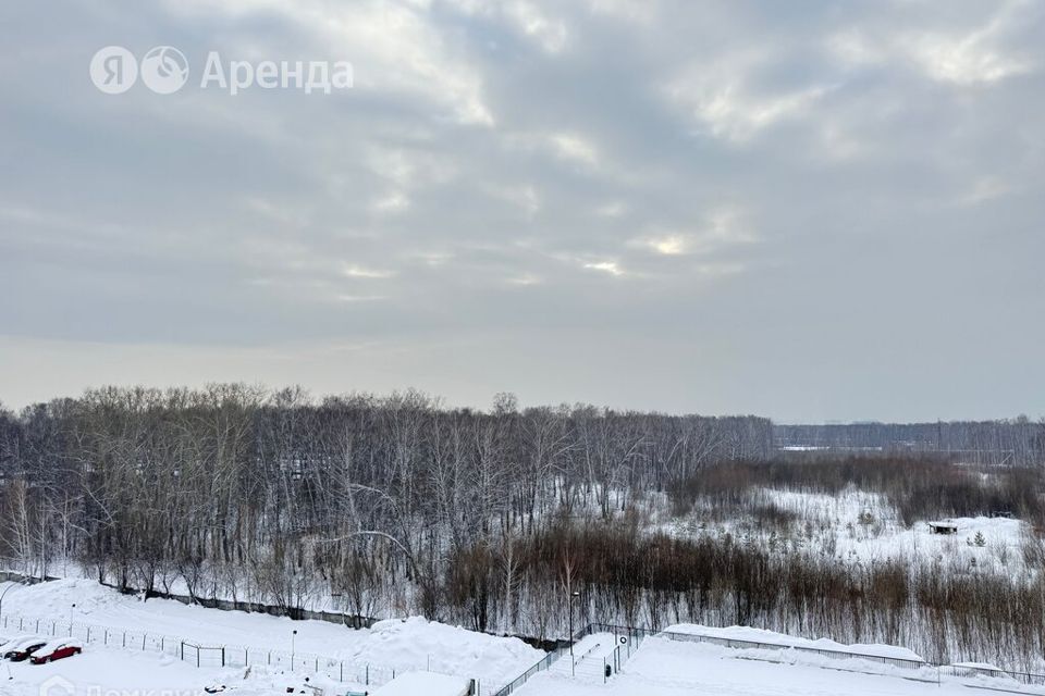 квартира г Новосибирск р-н Калининский Василия Клевцова, 3, Новосибирск городской округ фото 9