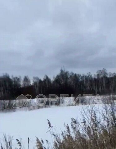 земля с Велижаны ул Социалистическая фото