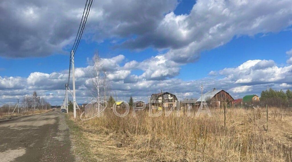 земля г Тюмень р-н Центральный снт Царево ул Тальниковая фото 2